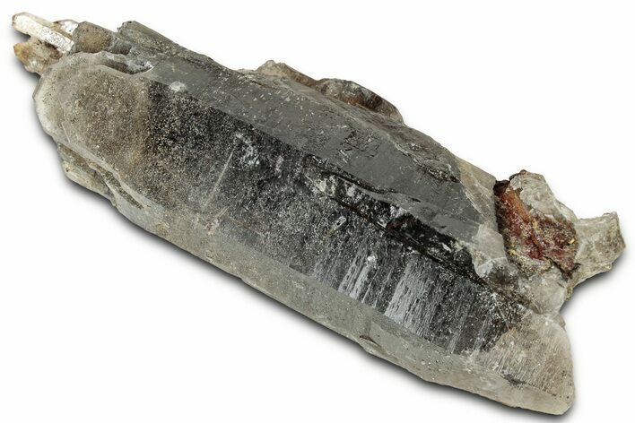 Lustrous Smoky Quartz Crystal - Interesting Terminations #326642